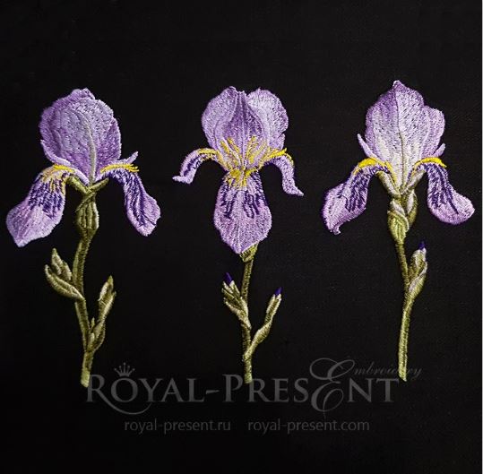Irises Machine Embroidery Designs Irises Machine Embroidery Designs