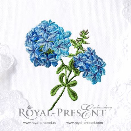 Phlox machine embroidery design Phlox machine embroidery design