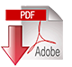Download pdf
